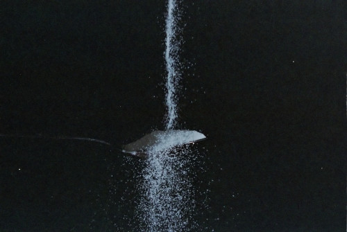 Sugar Is Bad