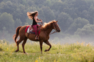 Young girl with a horse